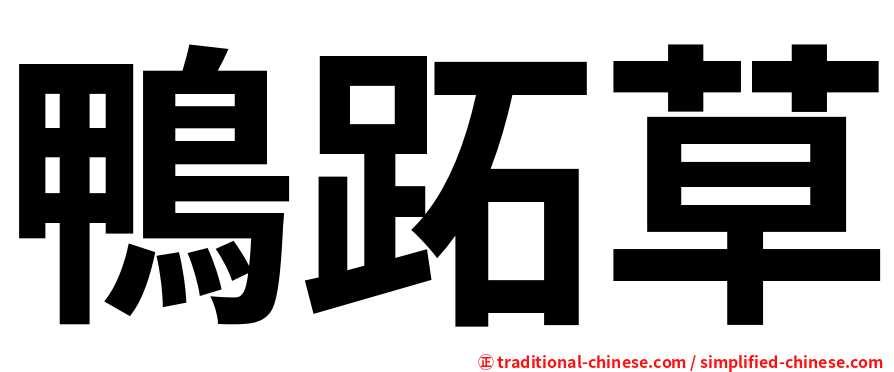 鴨跖草