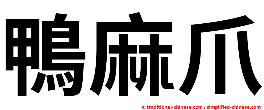 鴨麻爪