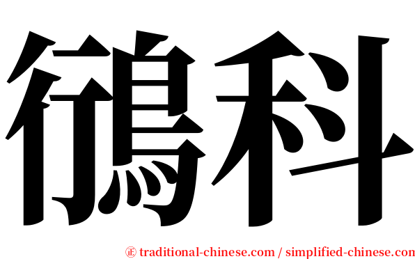 鴴科 serif font