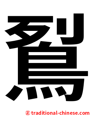 鴷