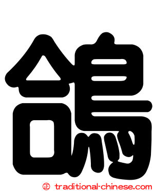 鴿