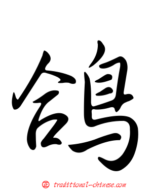 鴿