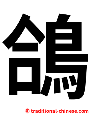 鴿