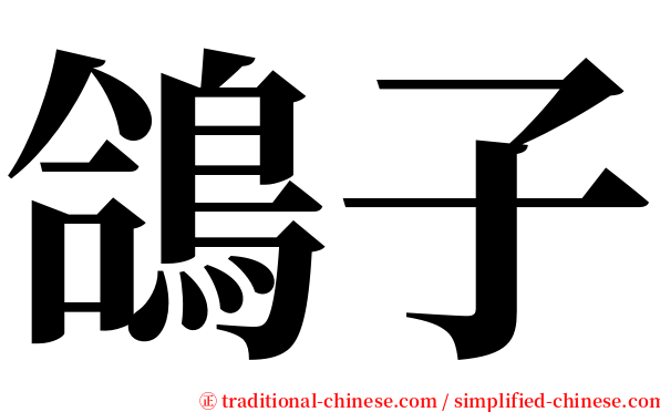 鴿子 serif font