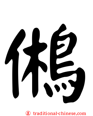 鵂