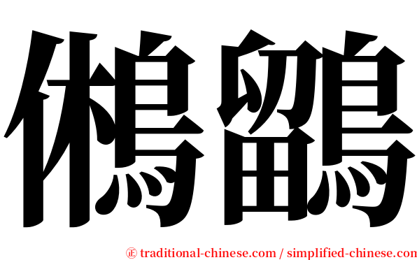 鵂鶹 serif font