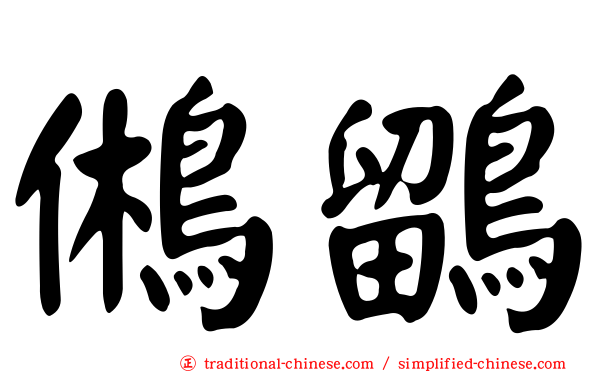 鵂鶹