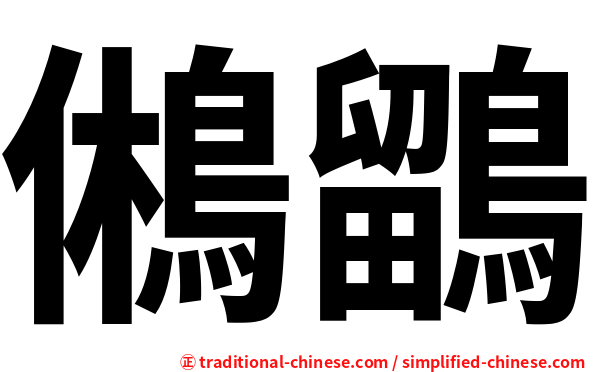鵂鶹