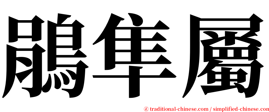 鵑隼屬 serif font
