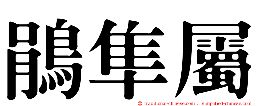 鵑隼屬