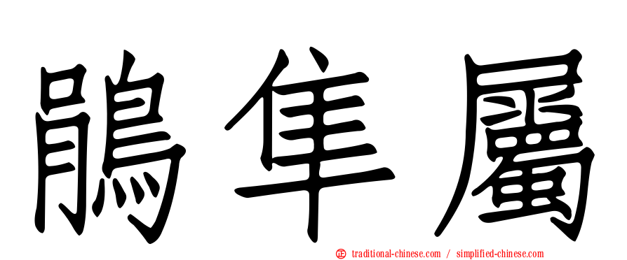 鵑隼屬