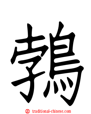 鵓