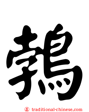 鵓