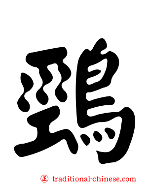 鵛