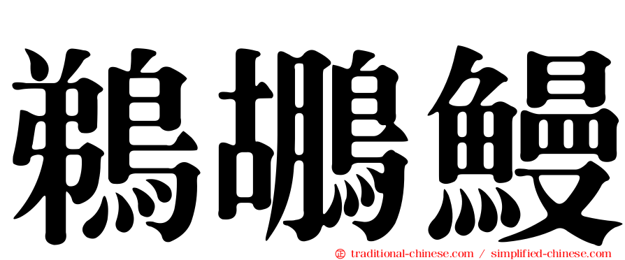 鵜鶘鰻