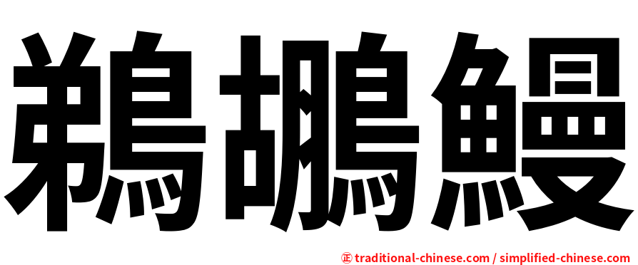鵜鶘鰻
