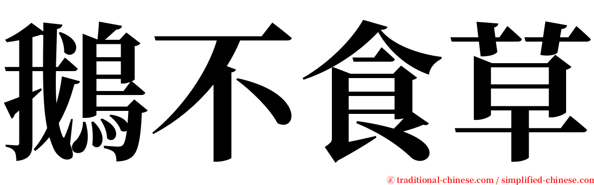 鵝不食草 serif font
