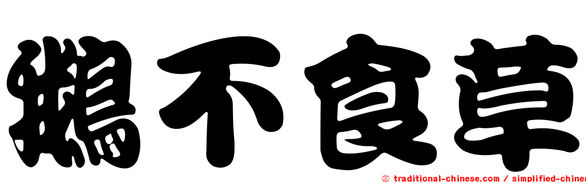 鵝不食草