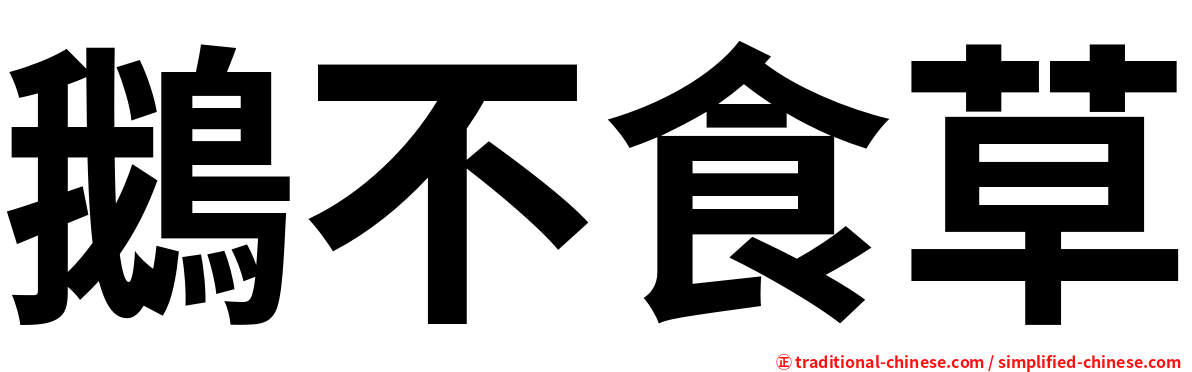 鵝不食草