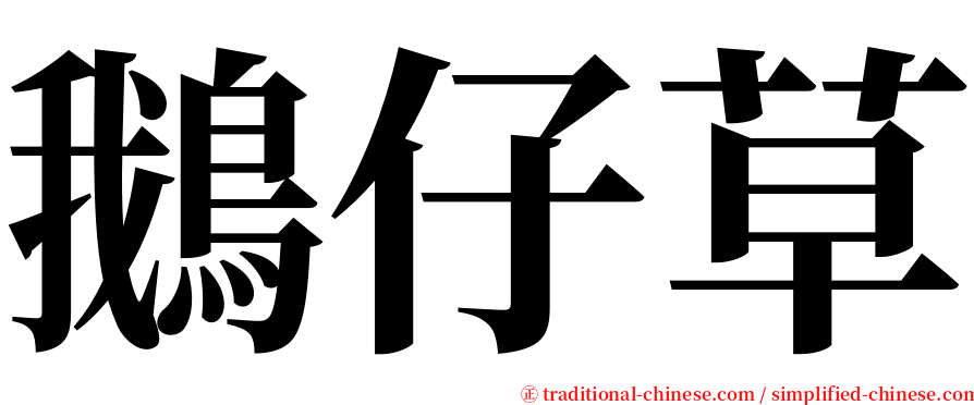 鵝仔草 serif font