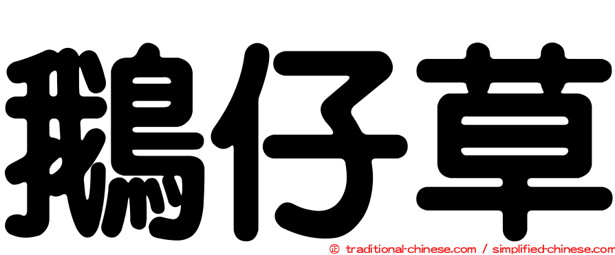 鵝仔草