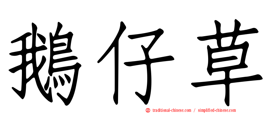 鵝仔草