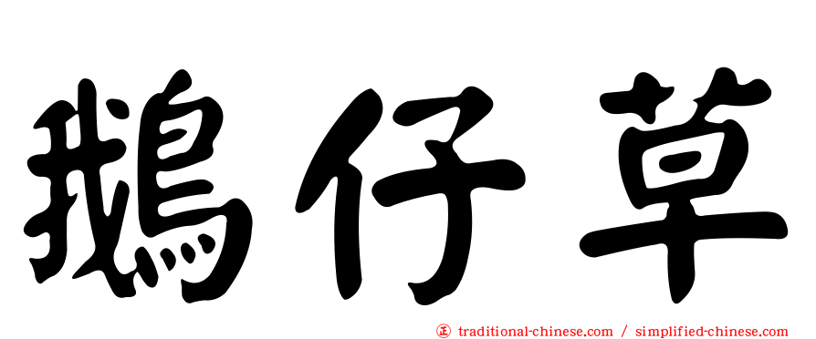 鵝仔草