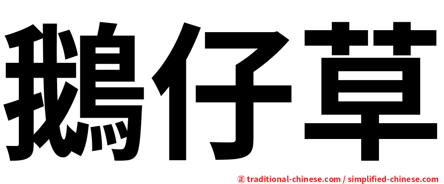 鵝仔草