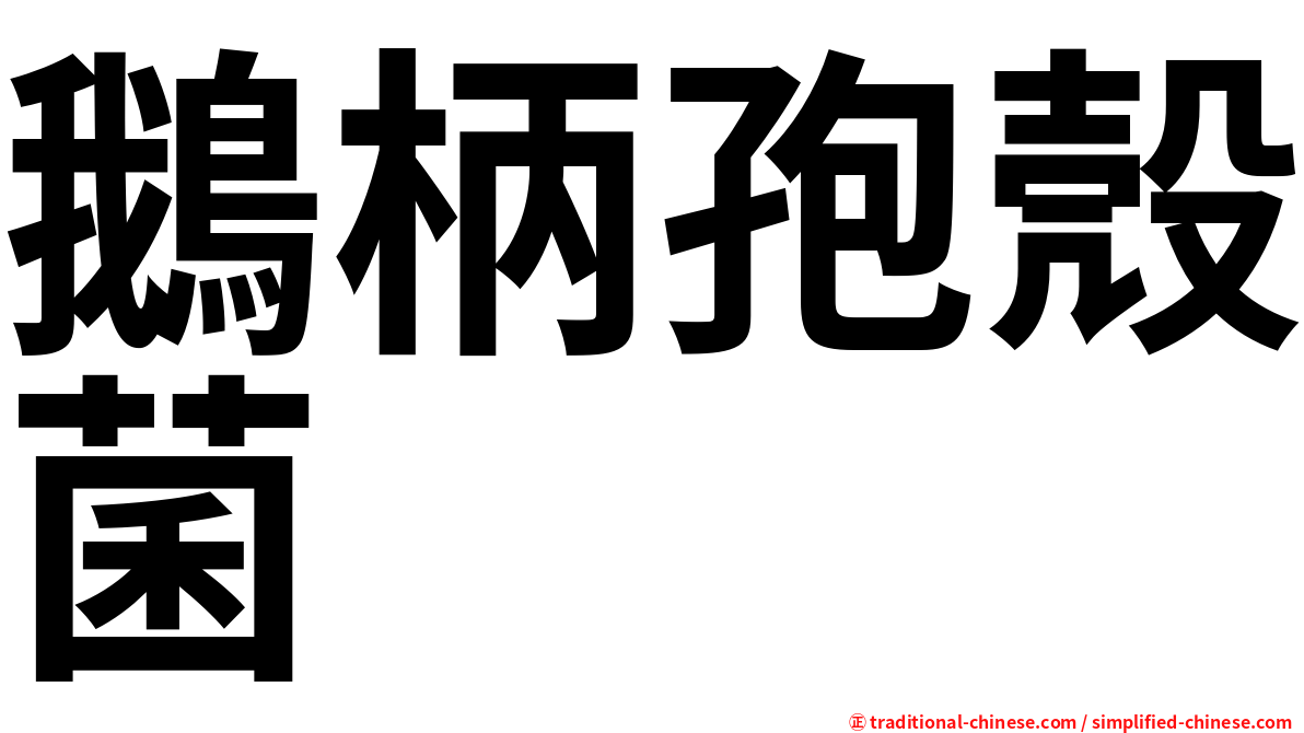 鵝柄孢殼菌