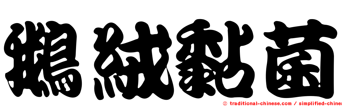 鵝絨黏菌