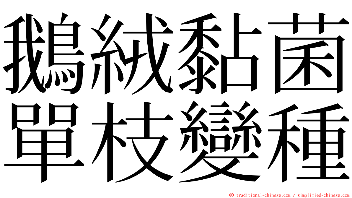 鵝絨黏菌單枝變種 ming font