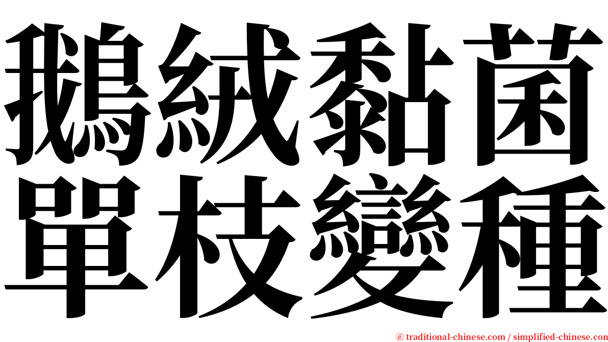 鵝絨黏菌單枝變種 serif font
