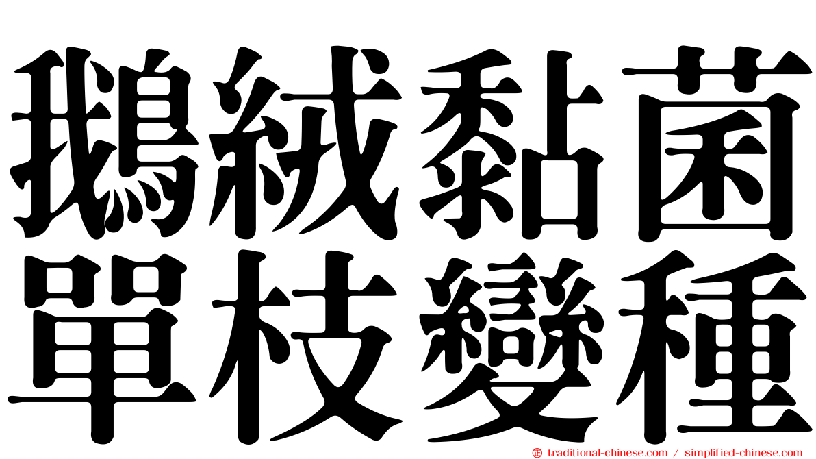 鵝絨黏菌單枝變種