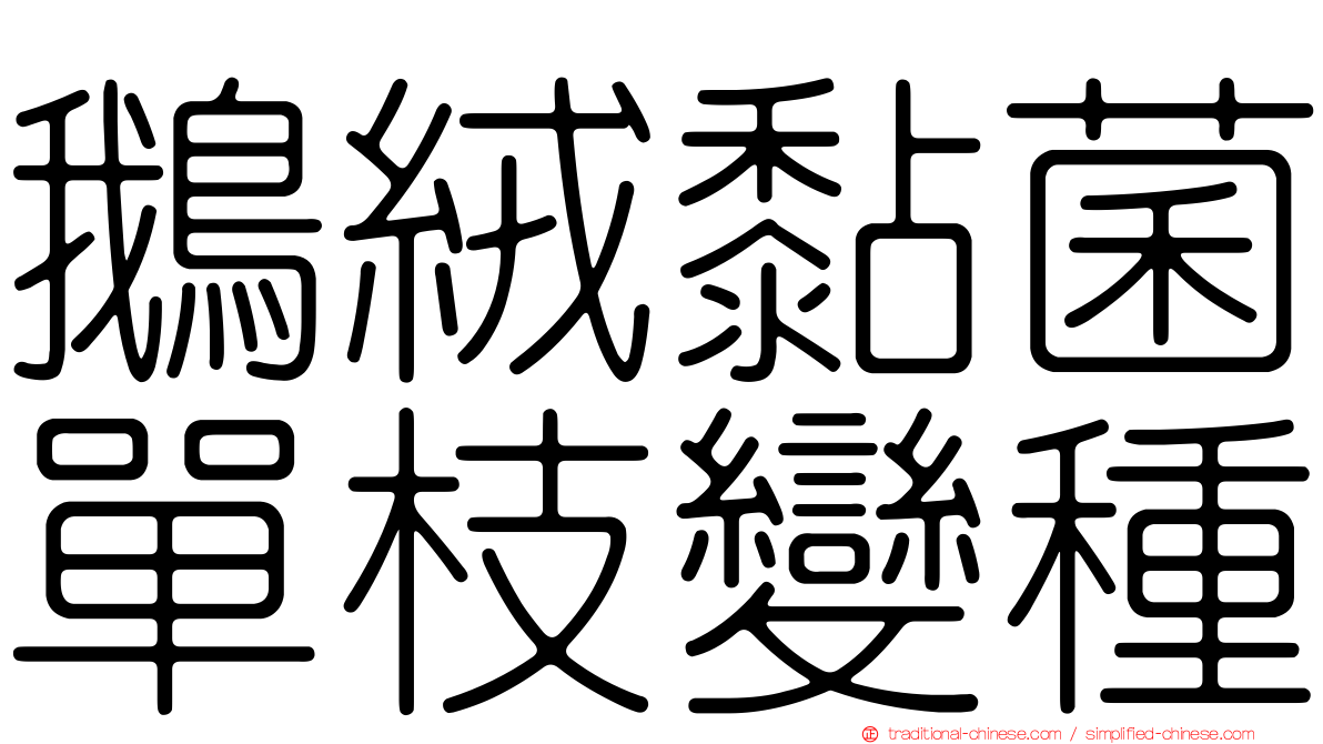 鵝絨黏菌單枝變種