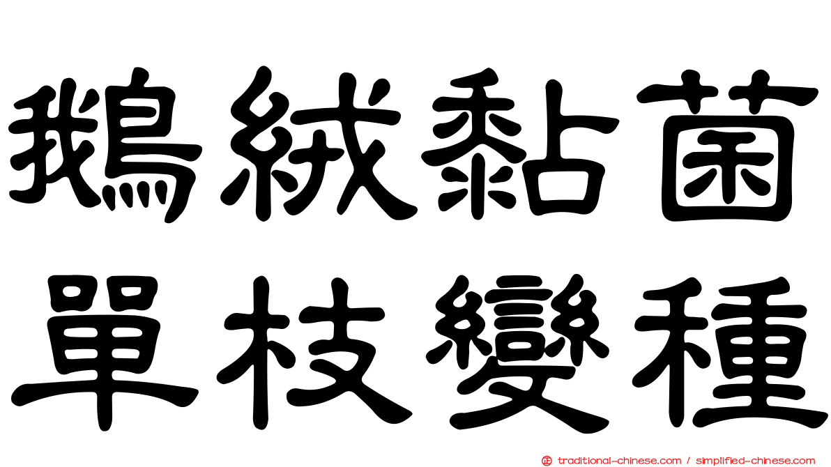 鵝絨黏菌單枝變種