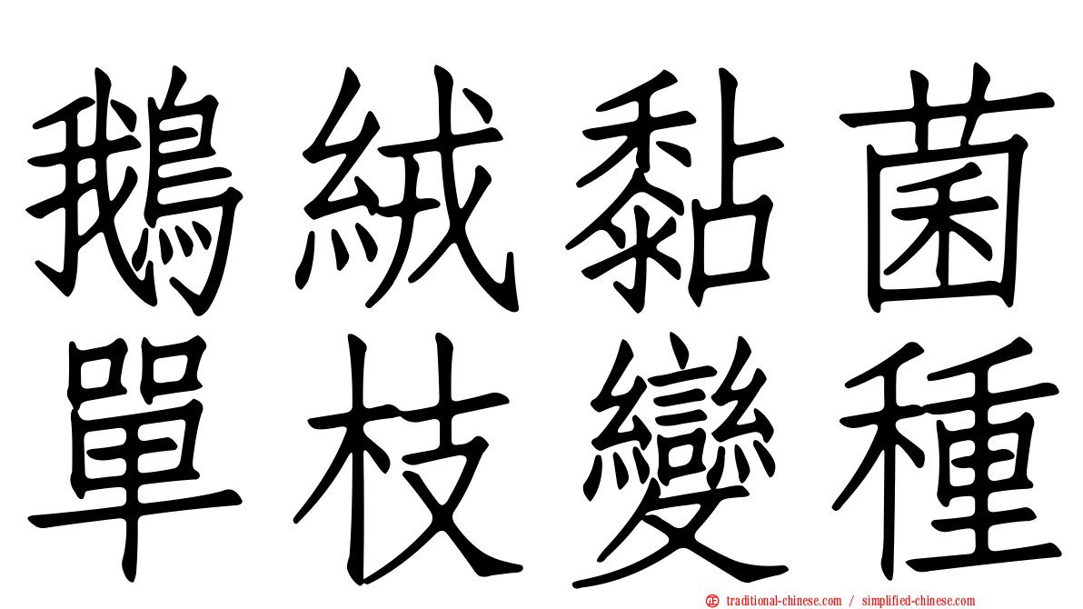鵝絨黏菌單枝變種