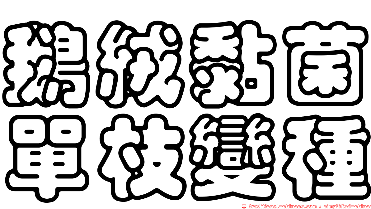 鵝絨黏菌單枝變種