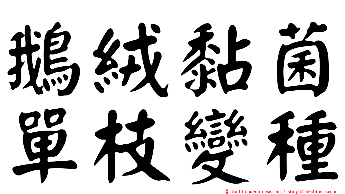 鵝絨黏菌單枝變種