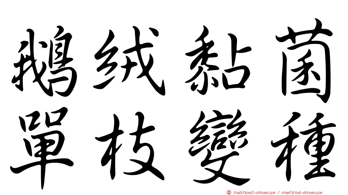 鵝絨黏菌單枝變種
