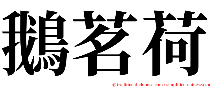 鵝茗荷 serif font