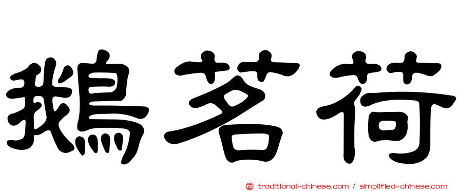 鵝茗荷