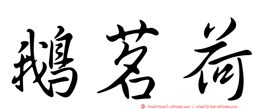 鵝茗荷