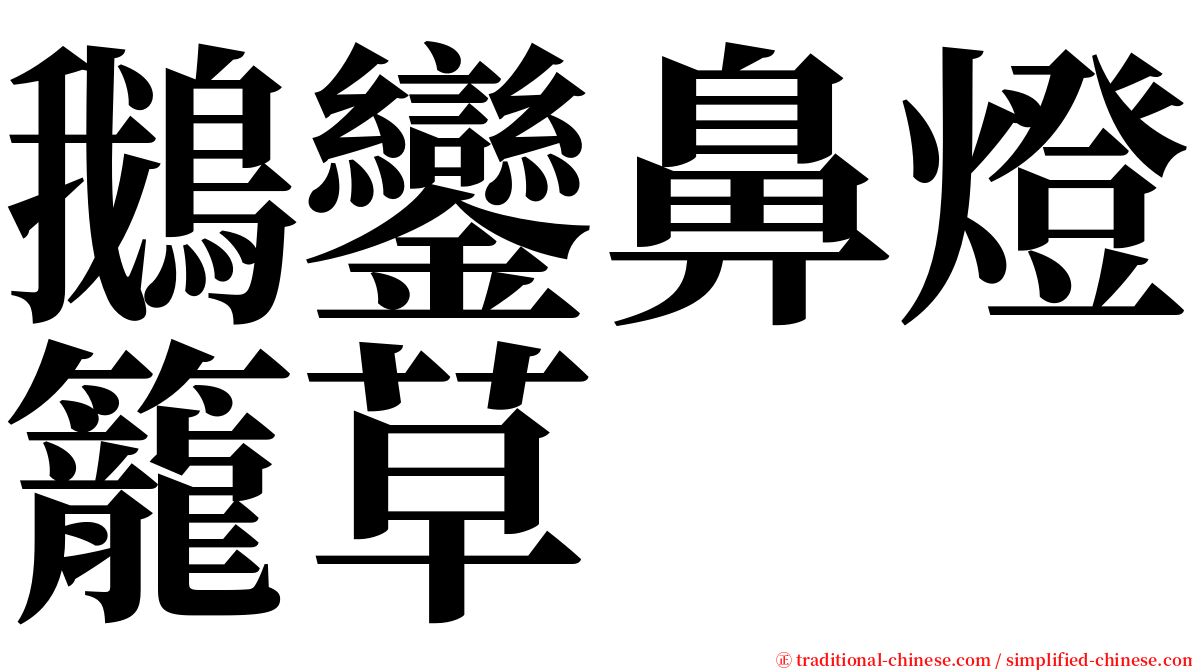 鵝鑾鼻燈籠草 serif font