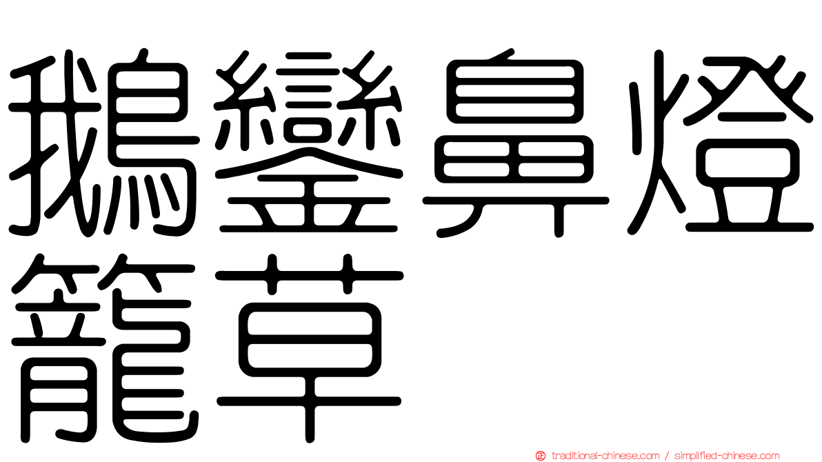 鵝鑾鼻燈籠草