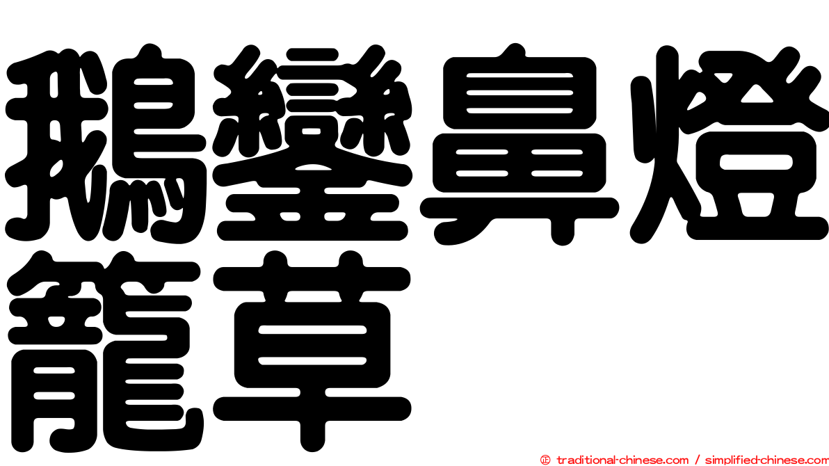 鵝鑾鼻燈籠草