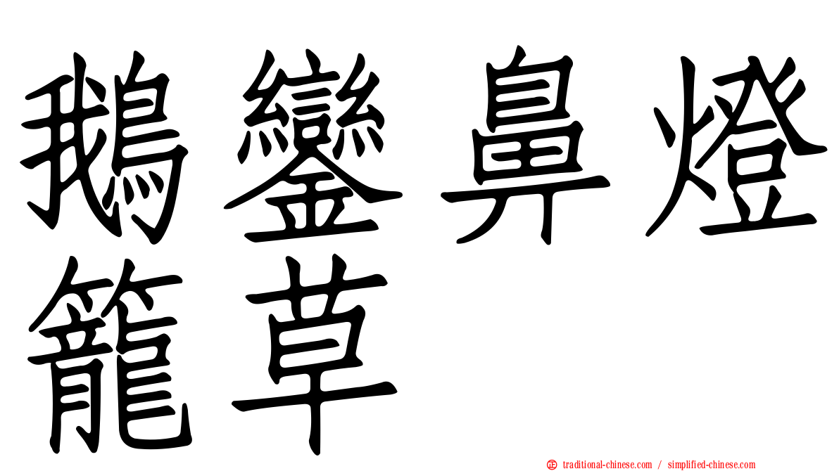 鵝鑾鼻燈籠草