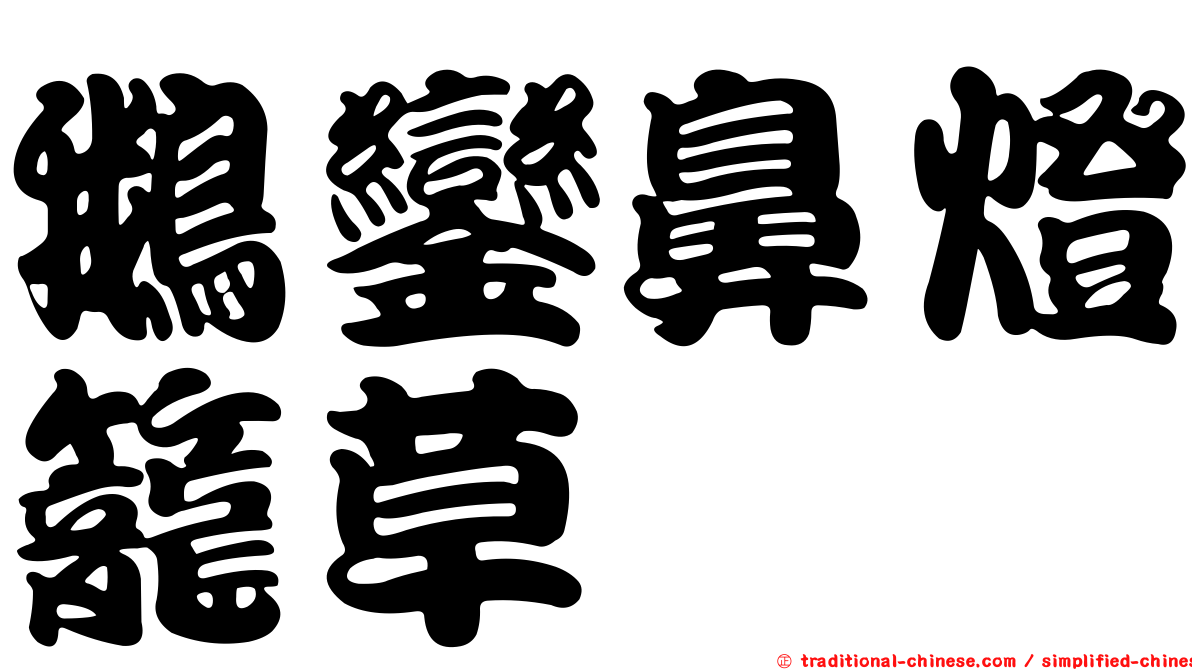 鵝鑾鼻燈籠草