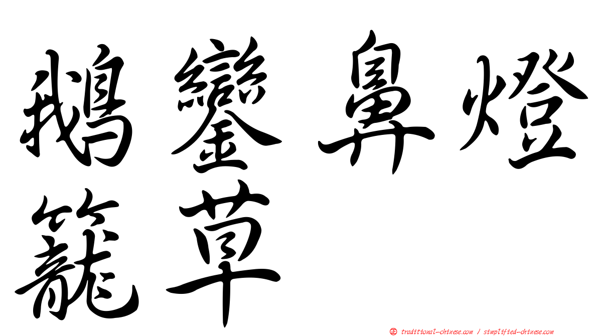 鵝鑾鼻燈籠草