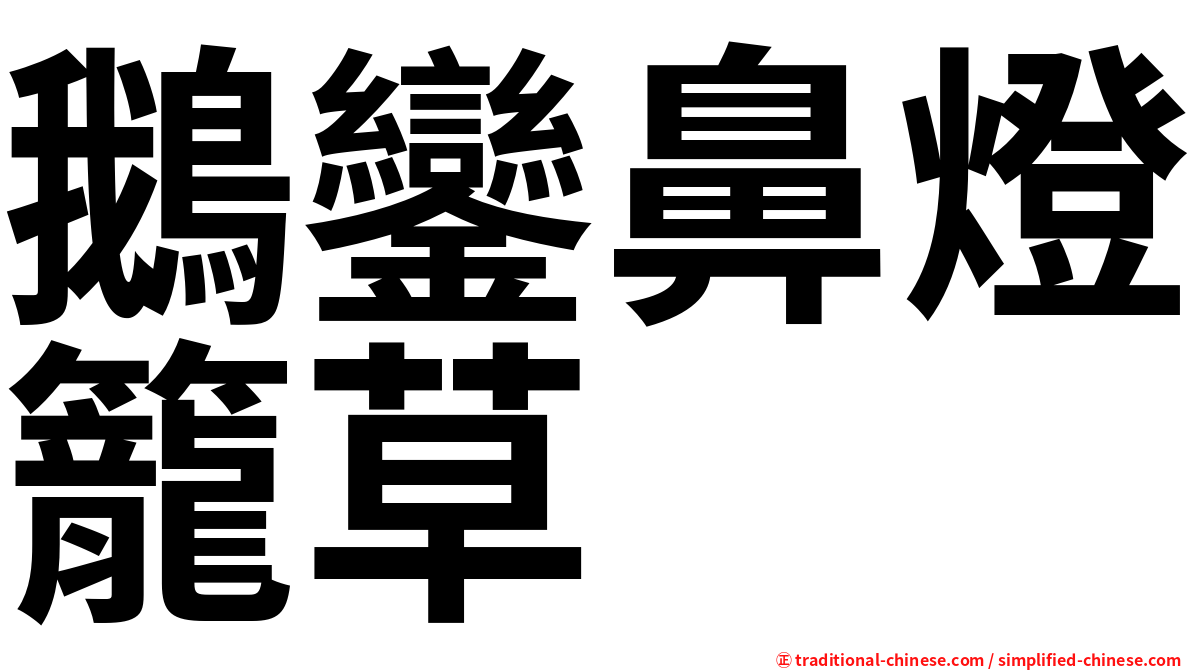 鵝鑾鼻燈籠草