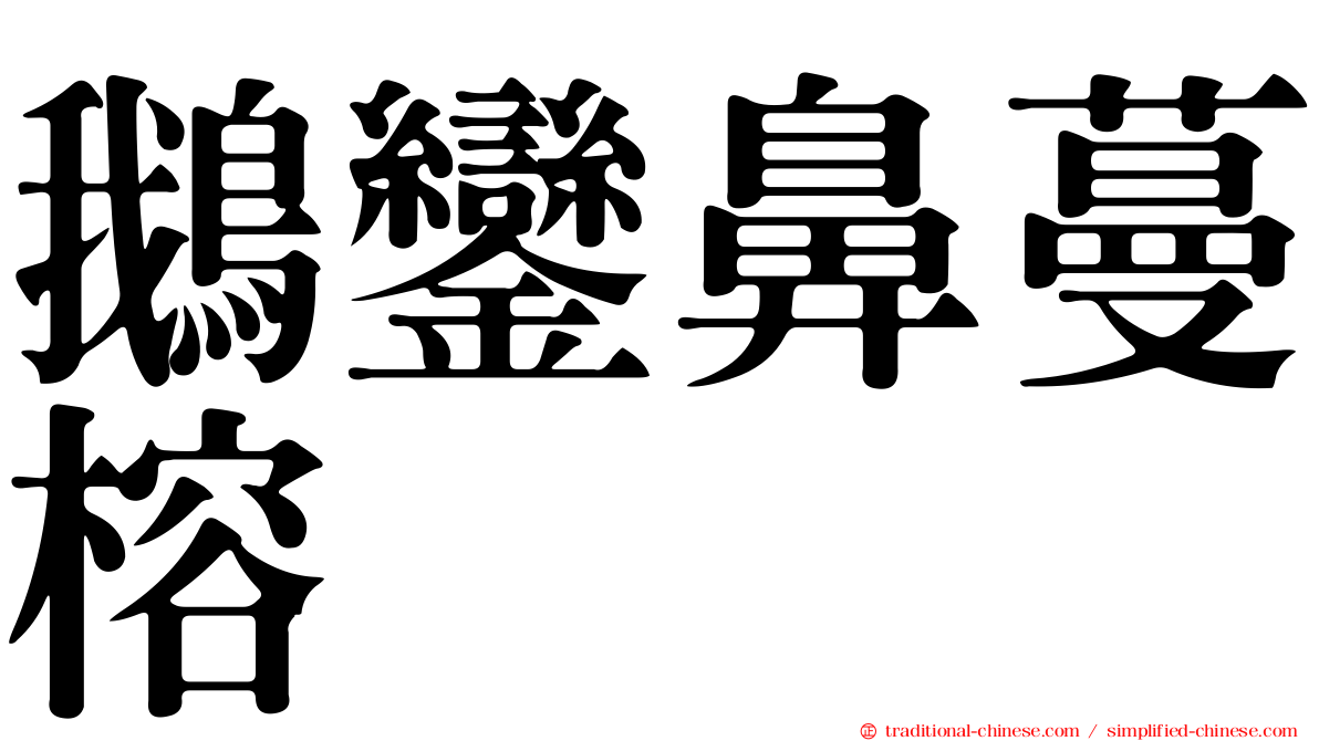 鵝鑾鼻蔓榕